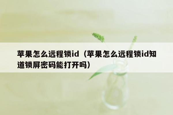 苹果怎么远程锁id（苹果怎么远程锁id知道锁屏密码能打开吗）