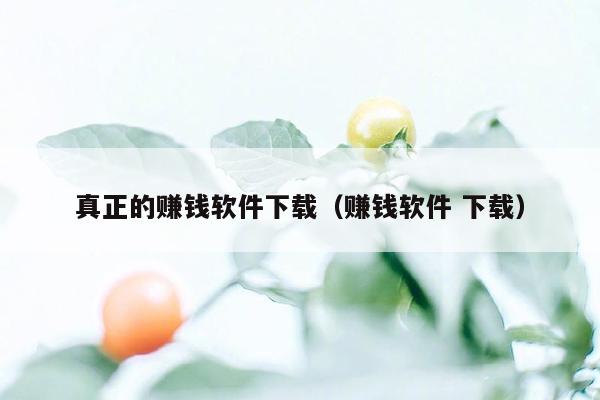 真正的赚钱软件下载（赚钱软件 下载）