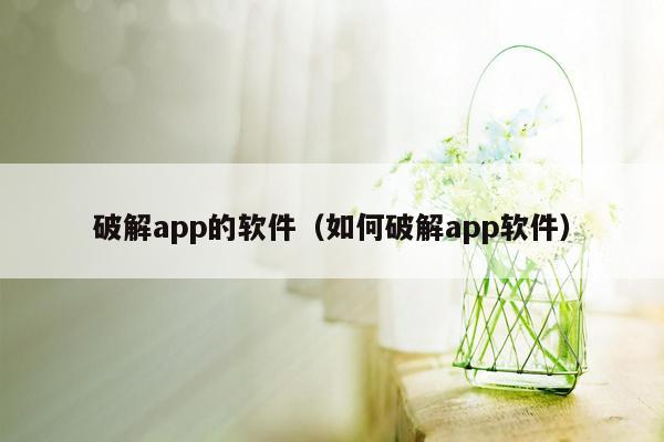 破解app的软件（如何破解app软件）