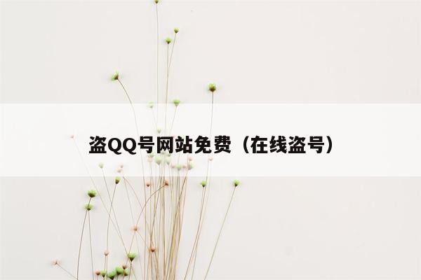 盗QQ号网站免费（在线盗号）