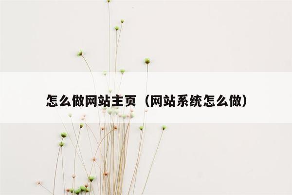 怎么做网站主页（网站系统怎么做）