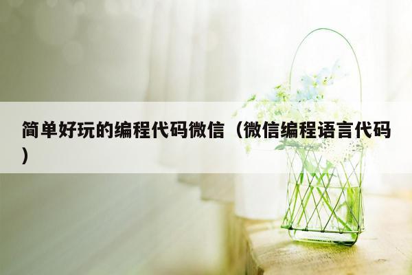 简单好玩的编程代码微信（微信编程语言代码）