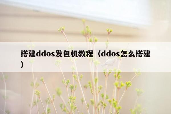 搭建ddos发包机教程（ddos怎么搭建）