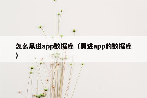 怎么黑进app数据库（黑进app的数据库）