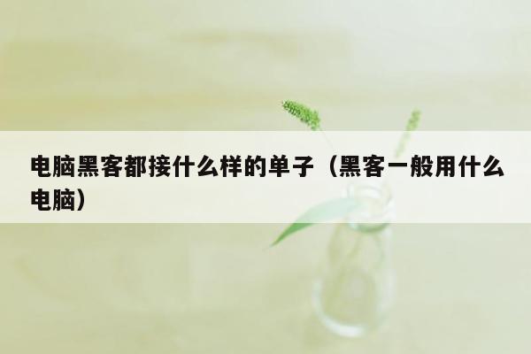 电脑黑客都接什么样的单子（黑客一般用什么电脑）