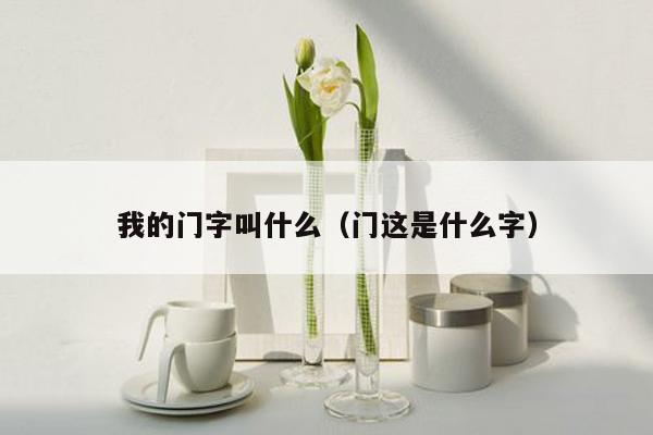 我的门字叫什么（门这是什么字）