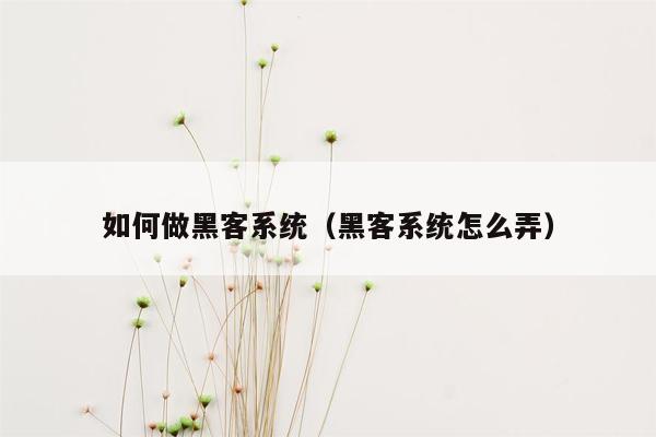 如何做黑客系统（黑客系统怎么弄）