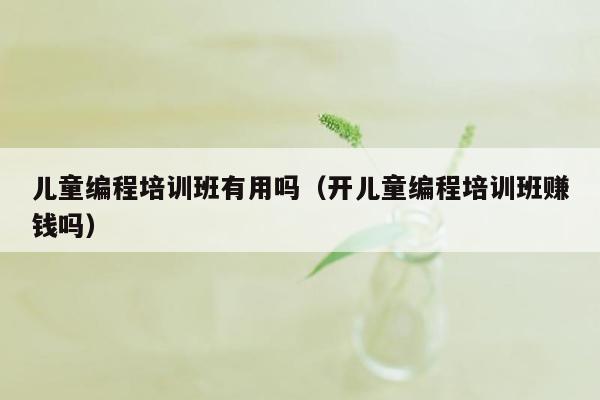 儿童编程培训班有用吗（开儿童编程培训班赚钱吗）