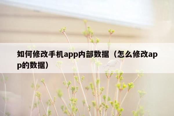 如何修改手机app内部数据（怎么修改app的数据）