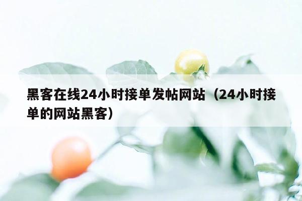 黑客在线24小时接单发帖网站（24小时接单的网站黑客）