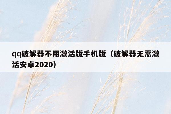 qq破解器不用激活版手机版（破解器无需激活安卓2020）