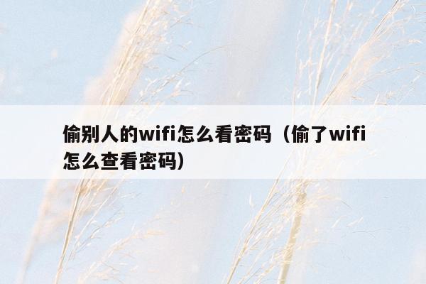 偷别人的wifi怎么看密码（偷了wifi怎么查看密码）