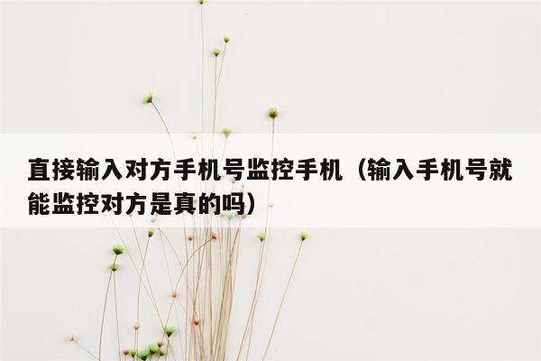 直接输入对方手机号监控手机（输入手机号就能监控对方是真的吗）