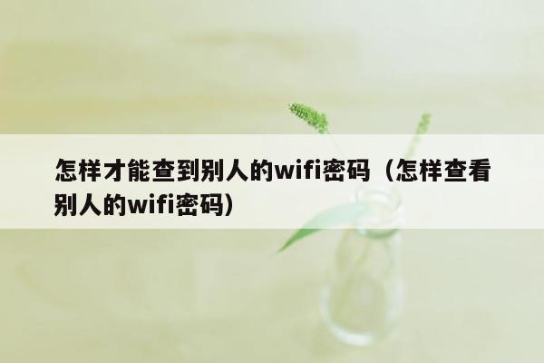 怎样才能查到别人的wifi密码（怎样查看别人的wifi密码）