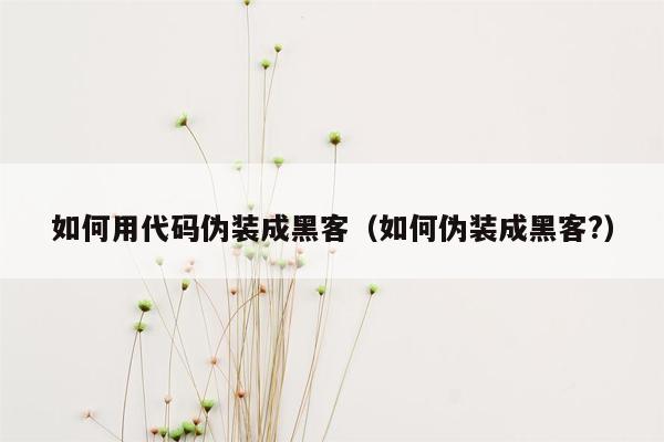 如何用代码伪装成黑客（如何伪装成黑客?）