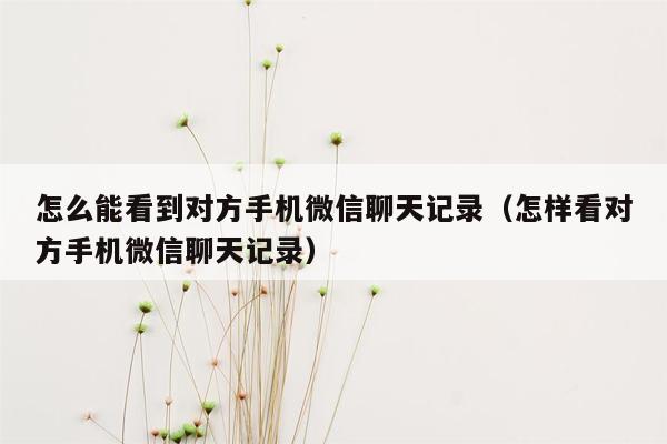 怎么能看到对方手机微信聊天记录（怎样看对方手机微信聊天记录）