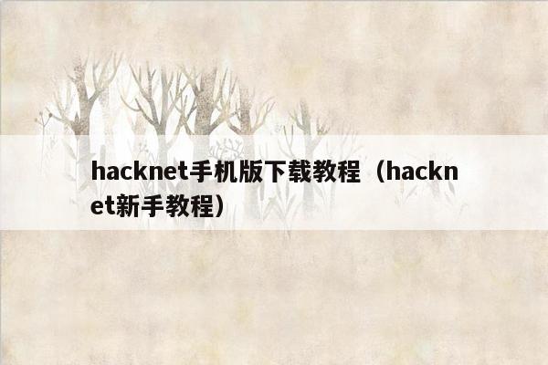 hacknet手机版下载教程（hacknet新手教程）