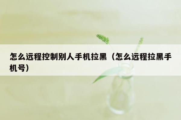 怎么远程控制别人手机拉黑（怎么远程拉黑手机号）