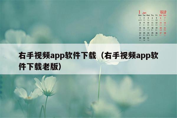 右手视频app软件下载（右手视频app软件下载老版）