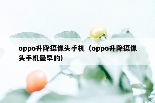 oppo升降摄像头手机（oppo升降摄像头手机最早的）