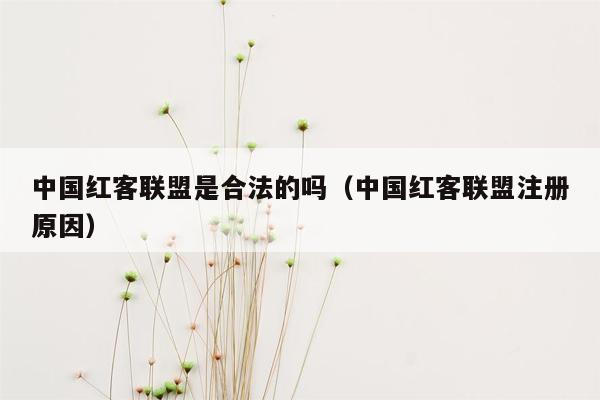 中国红客联盟是合法的吗（中国红客联盟注册原因）