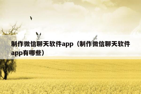 制作微信聊天软件app（制作微信聊天软件app有哪些）