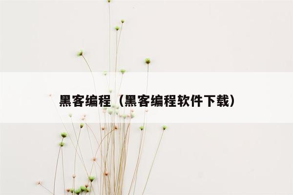 黑客编程（黑客编程软件下载）