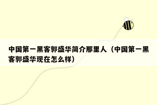 中国第一黑客郭盛华简介那里人（中国第一黑客郭盛华现在怎么样）