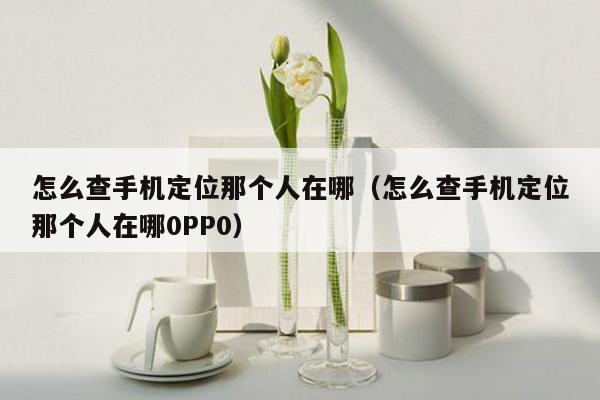 怎么查手机定位那个人在哪（怎么查手机定位那个人在哪0PP0）