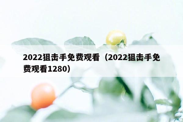 2022狙击手免费观看（2022狙击手免费观看1280）