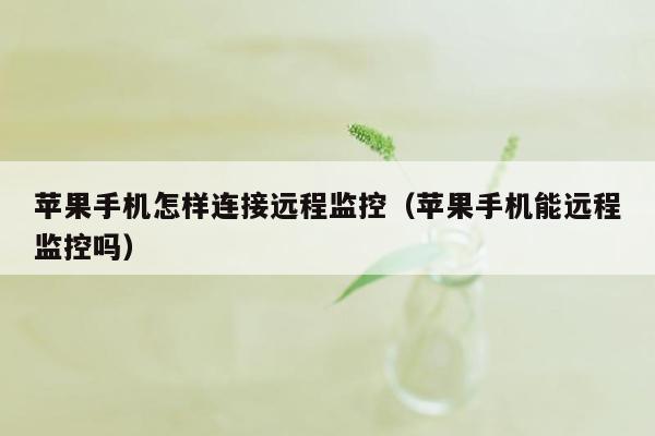 苹果手机怎样连接远程监控（苹果手机能远程监控吗）