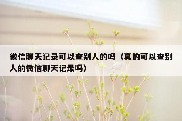 微信聊天记录可以查别人的吗（真的可以查别人的微信聊天记录吗）