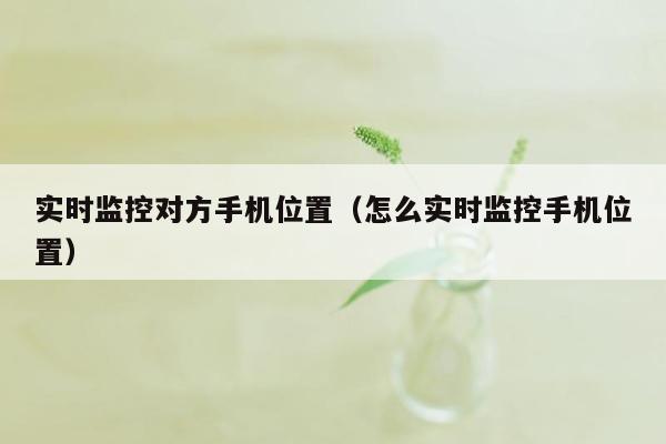 实时监控对方手机位置（怎么实时监控手机位置）