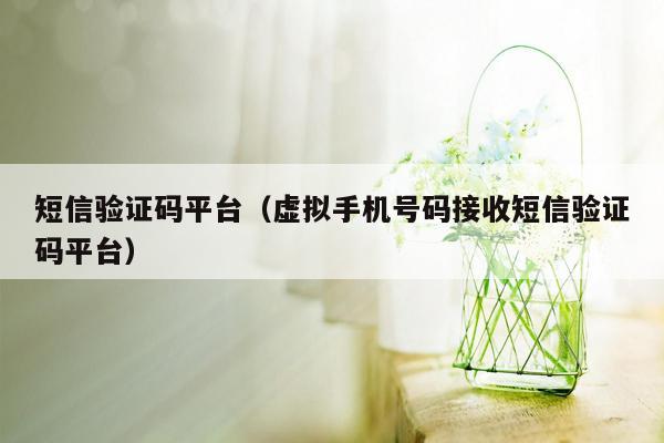 短信验证码平台（虚拟手机号码接收短信验证码平台）