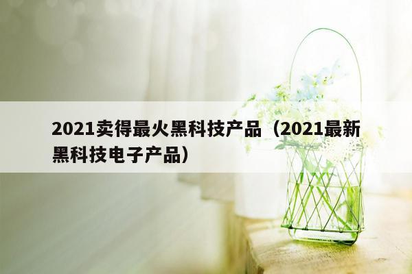 2021卖得最火黑科技产品（2021最新黑科技电子产品）