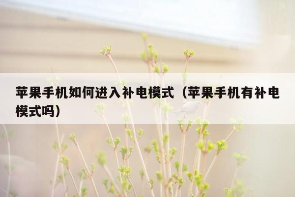 苹果手机如何进入补电模式（苹果手机有补电模式吗）