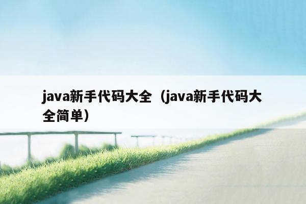 java新手代码大全（java新手代码大全简单）