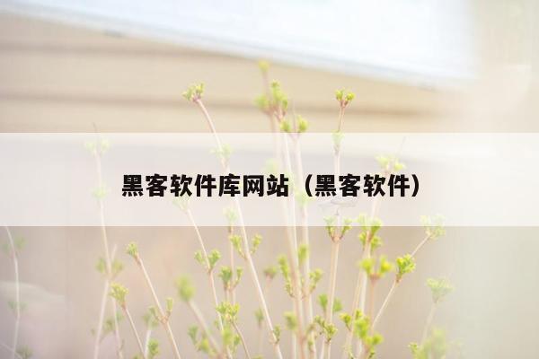 黑客软件库网站（黑客软件）