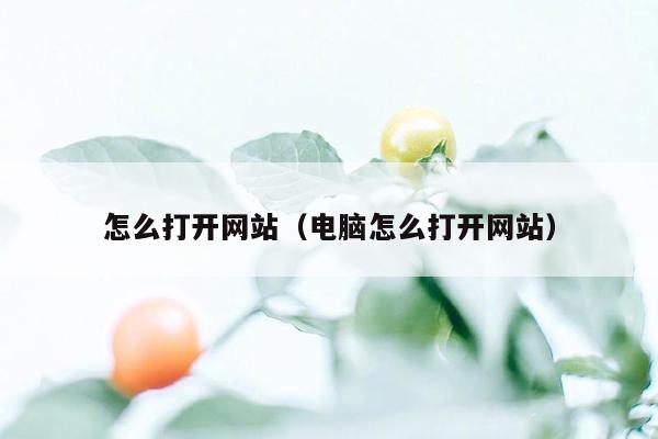 怎么打开网站（电脑怎么打开网站）