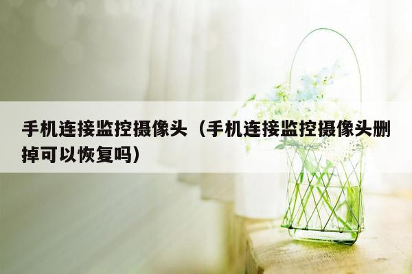 手机连接监控摄像头（手机连接监控摄像头删掉可以恢复吗）