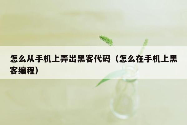 怎么从手机上弄出黑客代码（怎么在手机上黑客编程）