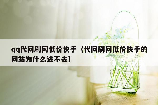 qq代网刷网低价快手（代网刷网低价快手的网站为什么进不去）