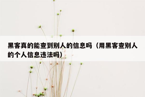 黑客真的能查到别人的信息吗（用黑客查别人的个人信息违法吗）