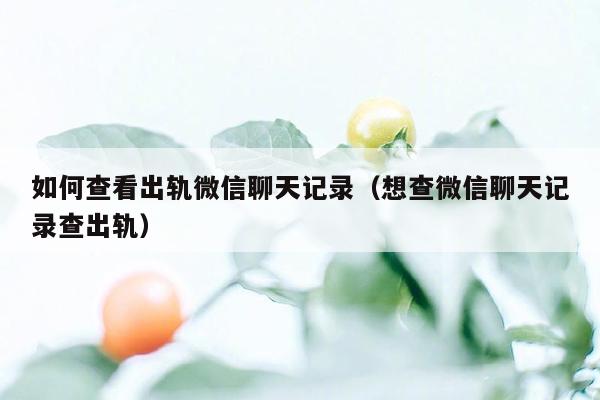 如何查看出轨微信聊天记录（想查微信聊天记录查出轨）