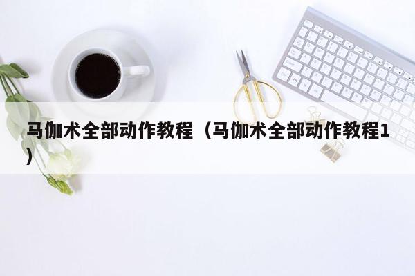 马伽术全部动作教程（马伽术全部动作教程1）