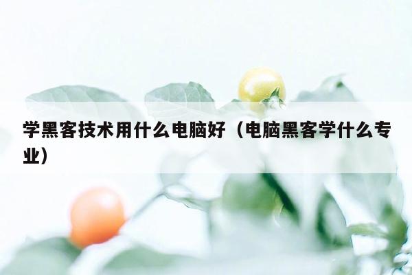 学黑客技术用什么电脑好（电脑黑客学什么专业）