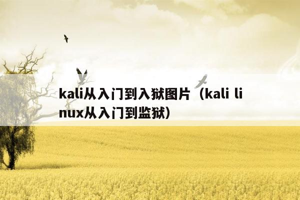 kali从入门到入狱图片（kali linux从入门到监狱）