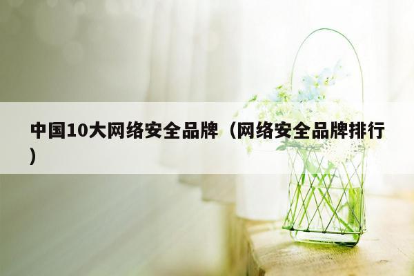 中国10大网络安全品牌（网络安全品牌排行）