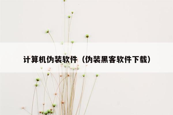 计算机伪装软件（伪装黑客软件下载）