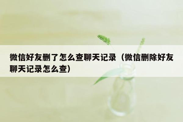 微信好友删了怎么查聊天记录（微信删除好友聊天记录怎么查）